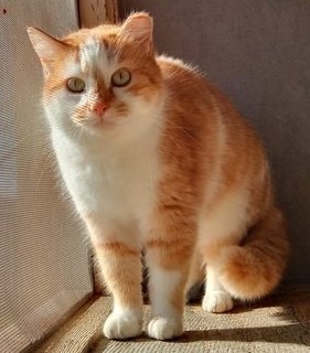 Abby