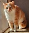 Abby photo 2