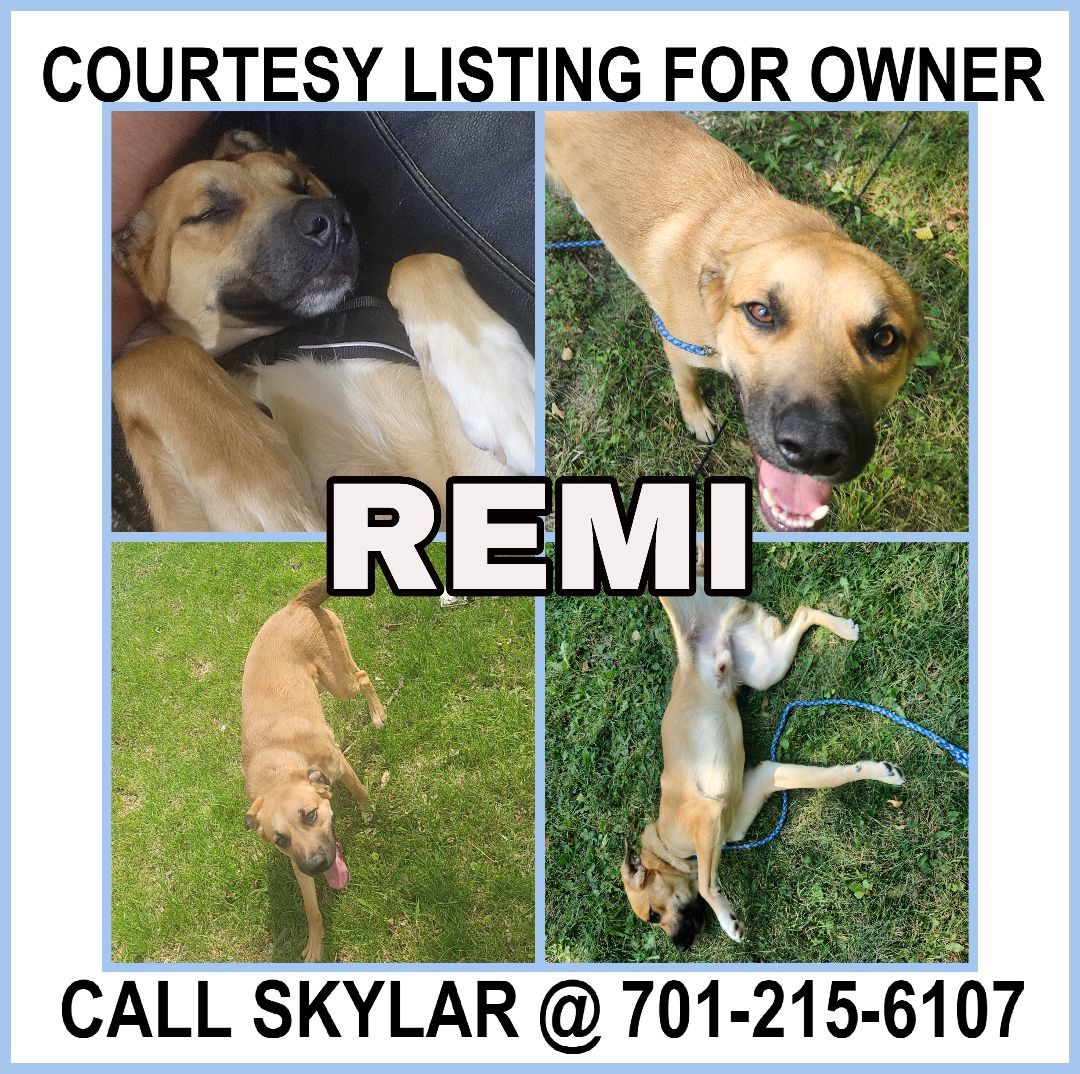 Remi - COURTESY LISTING FOR OWNER
