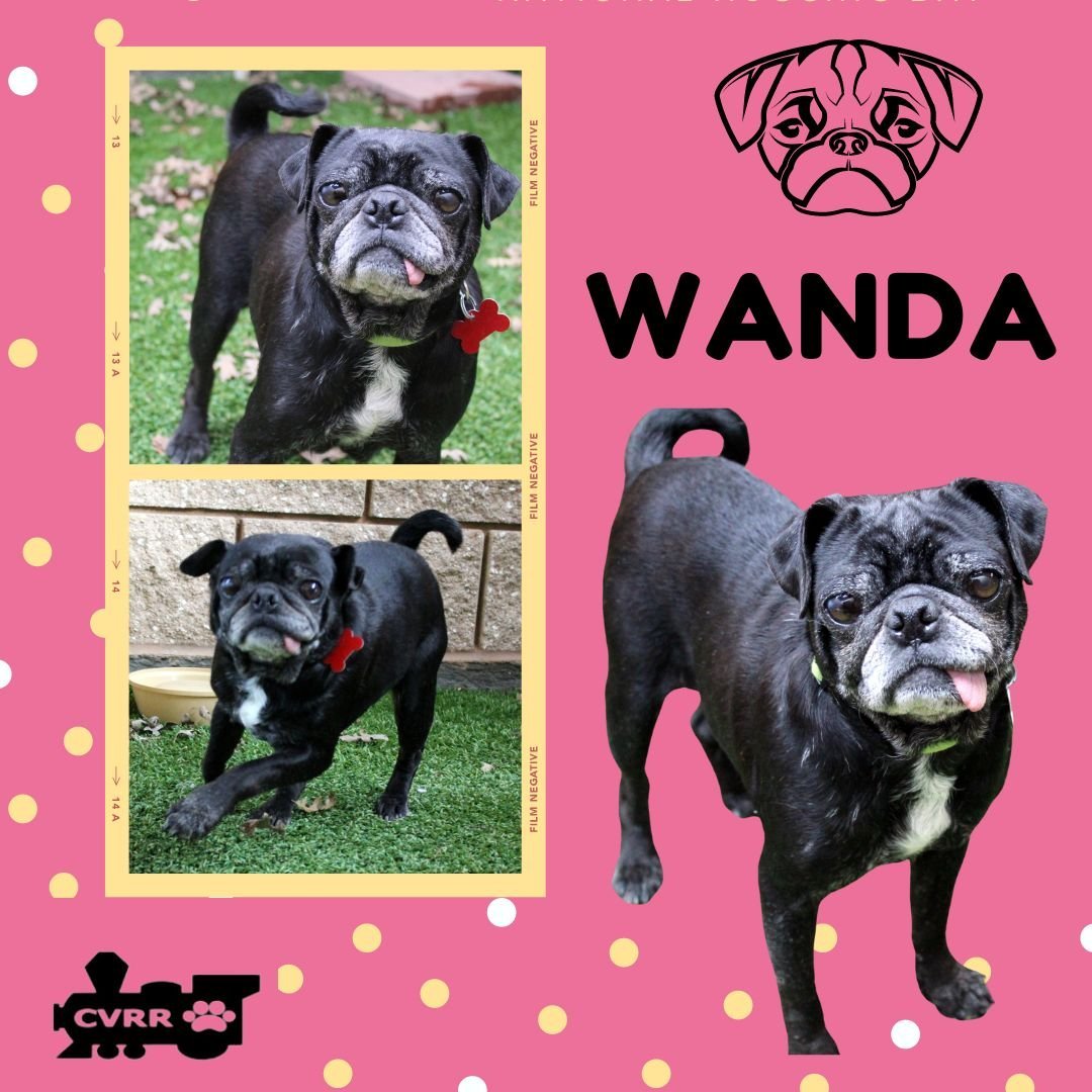 Wanda (Ritzy)