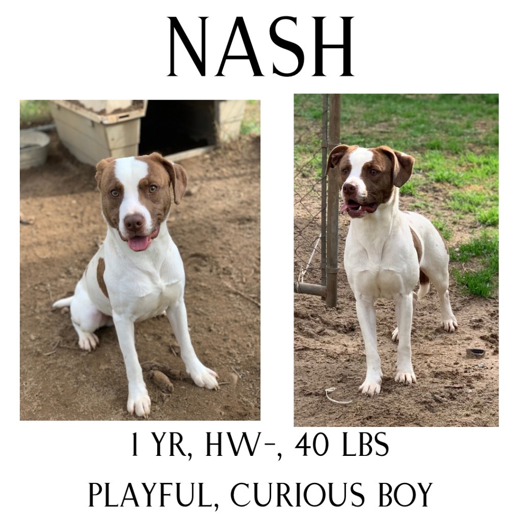 Nash detail page