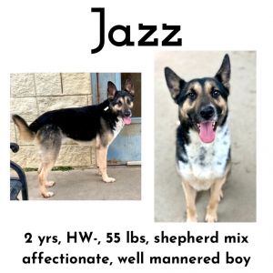 Jazz