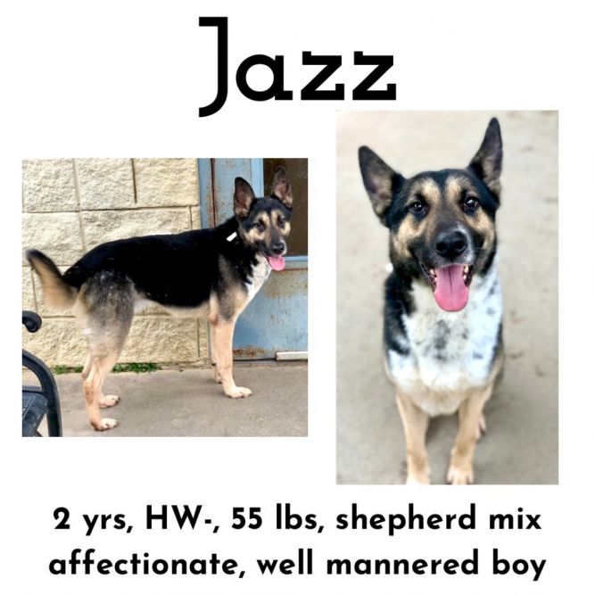 Jazz