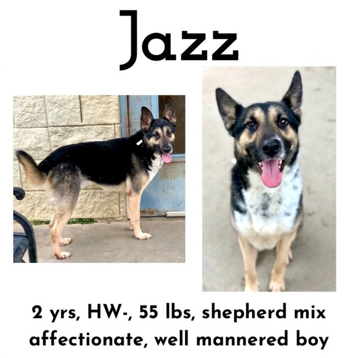 Jazz 1