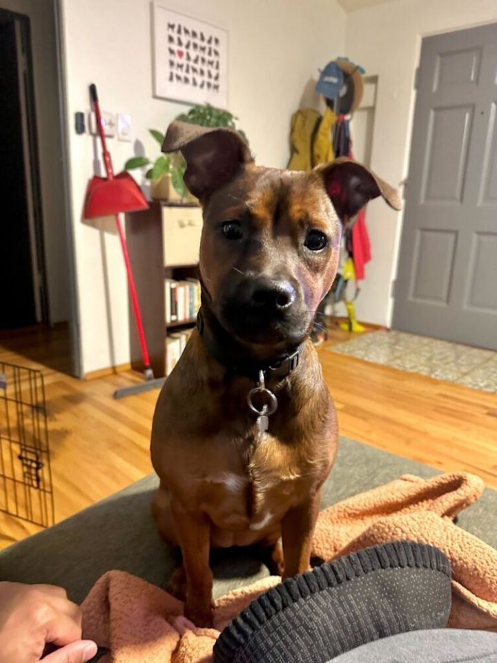 Penny/Brenda 4
