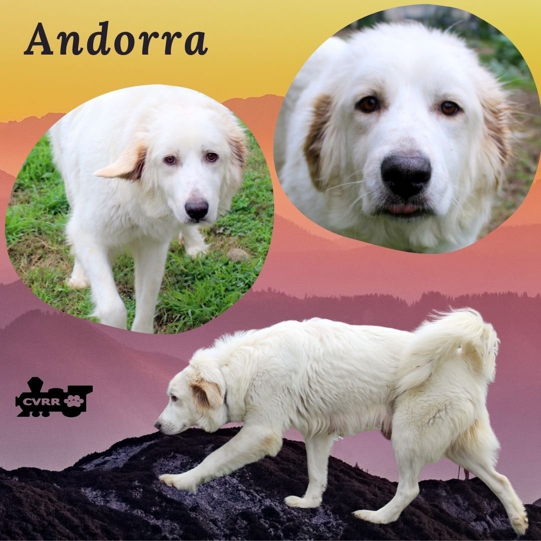 Andorra (Ritzy)