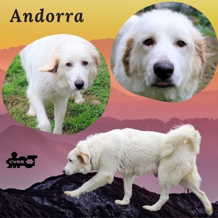Andorra (Ritzy) 1