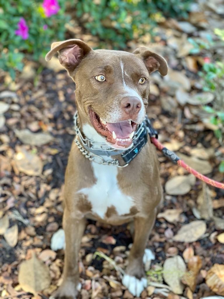 Peter aka Max