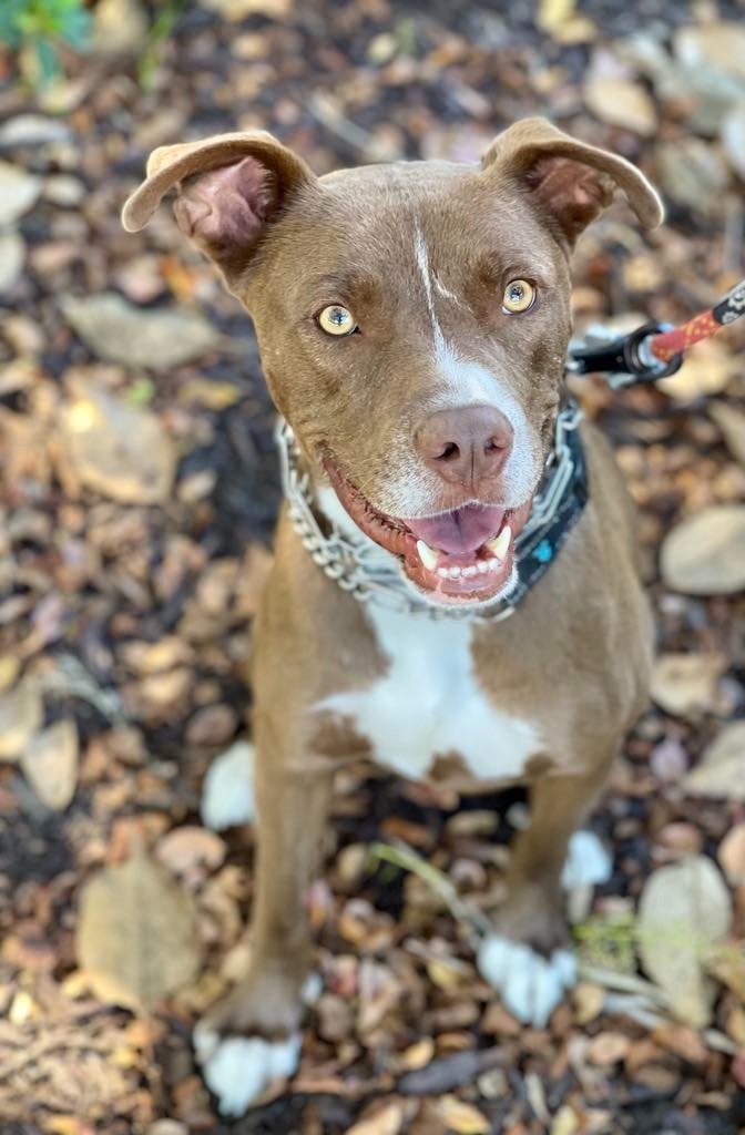 Peter aka Max