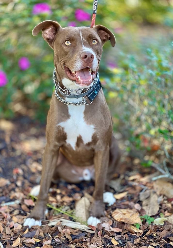 Peter aka Max