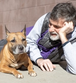 Hi my name is Divine My foster parents call me the perfect houseguest since I am respectful of hou