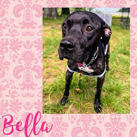 Wren/Bella photo