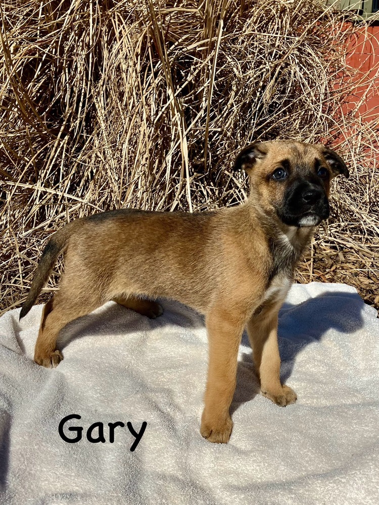 Gary