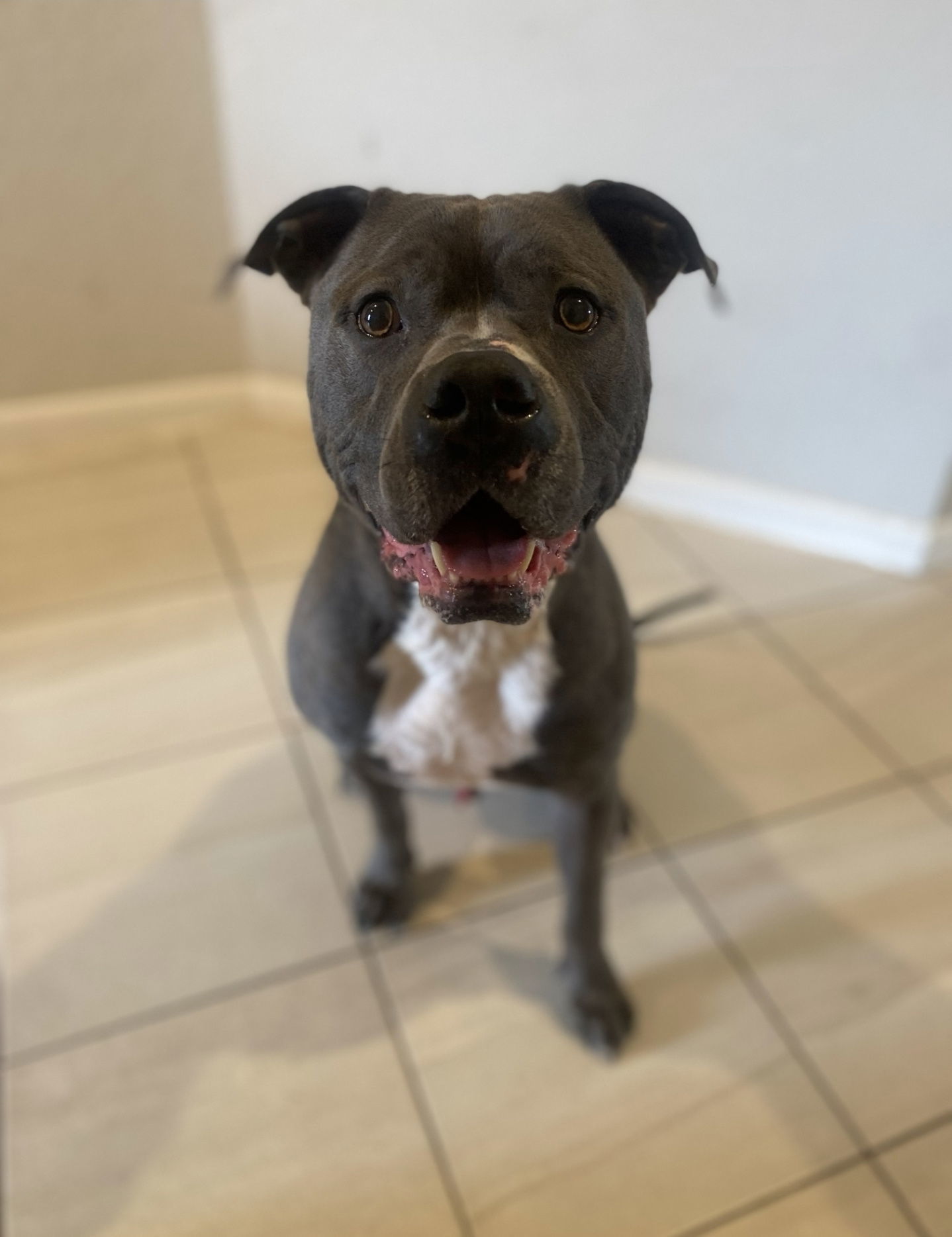 Zeus