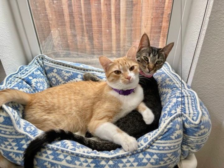 Parker and Echo 2