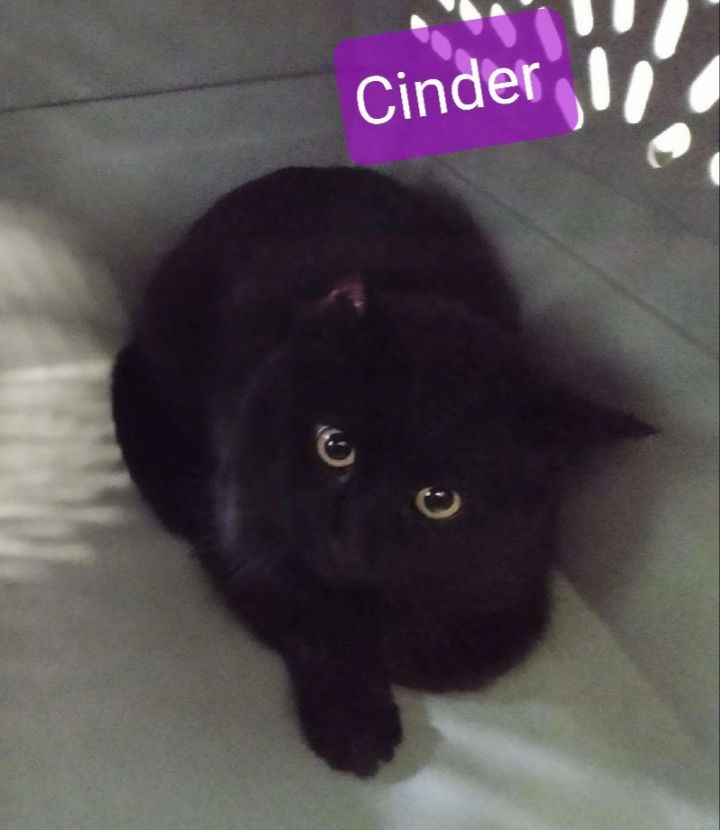 Cinder 2