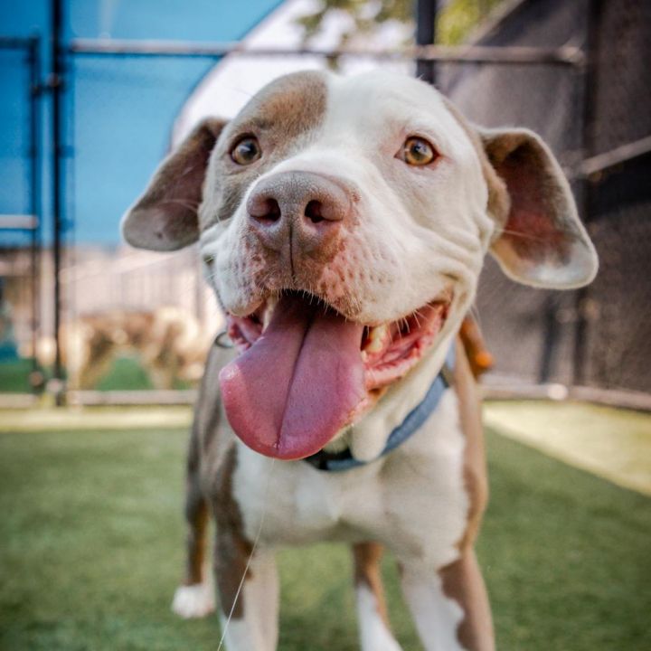 Kale A2119010 1