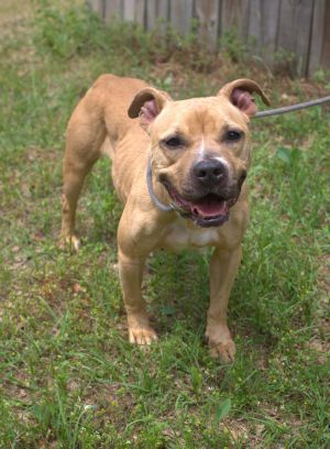 Billie Jean (Goldilocks), Young Female unknown