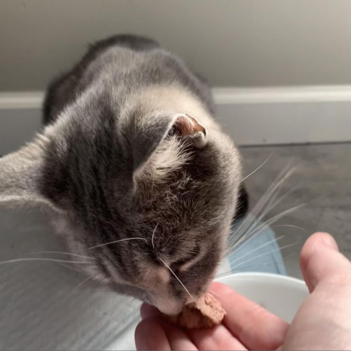 Tama 3