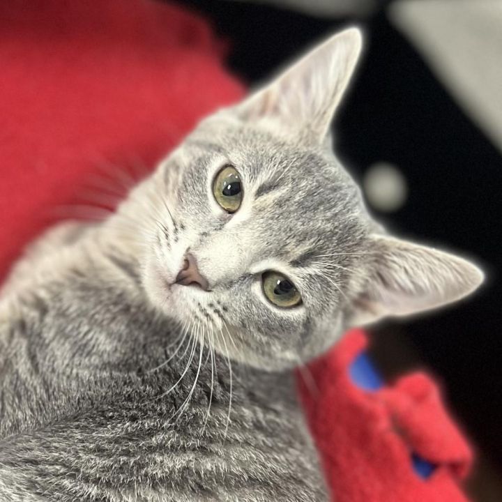Sweetheart 2