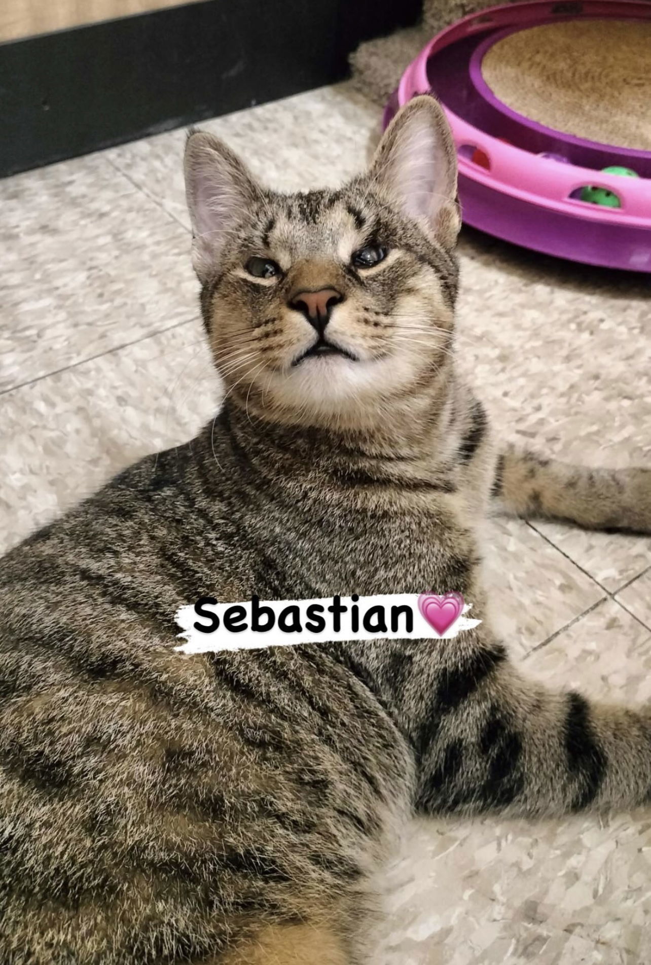 Sebastian