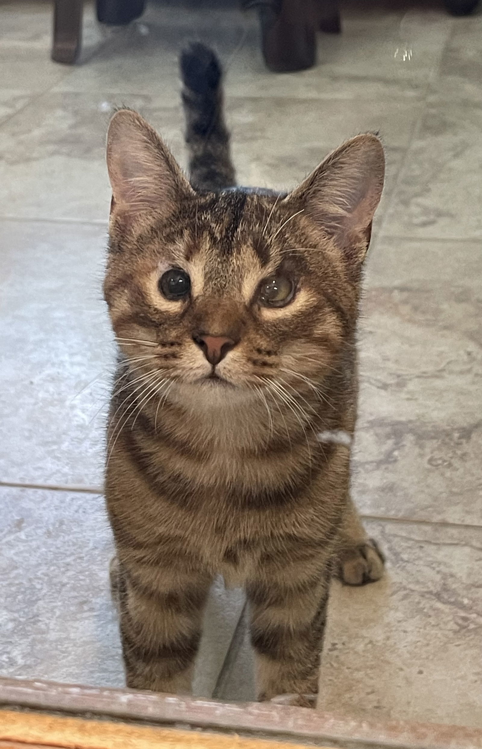Sebastian