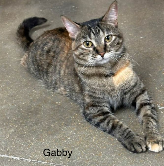 Gabriella