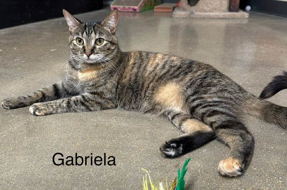 Gabriella
