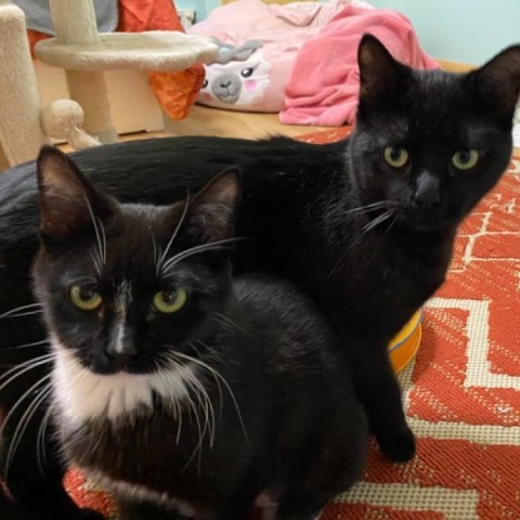 Anchovy & Tuna - We're a bonded pair!