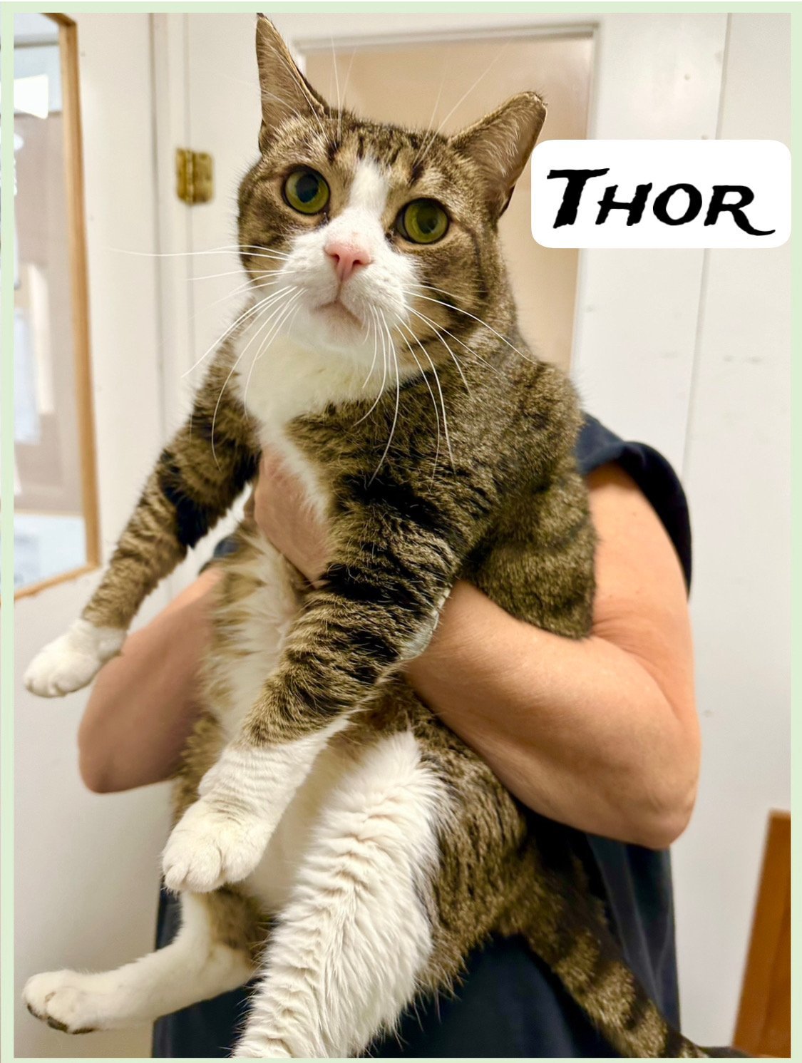 Thor Willow Grove, PA (FCID# 10/20/23 - 404)