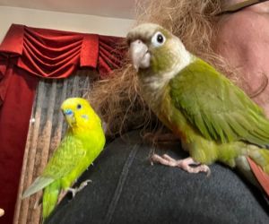 Nj bird store sales