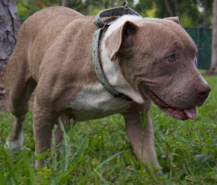 Leo-Good boy! 3