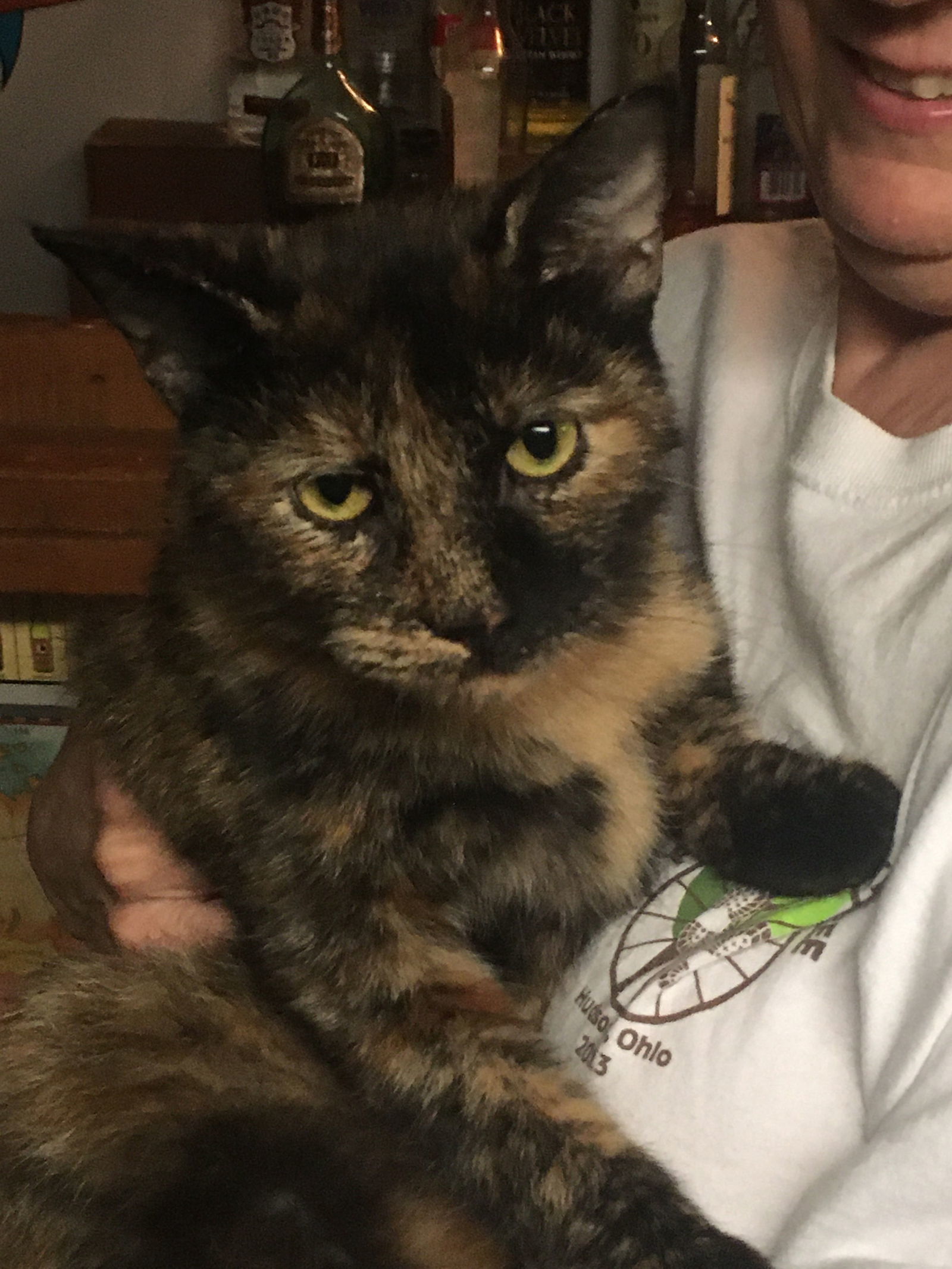 Rhoda