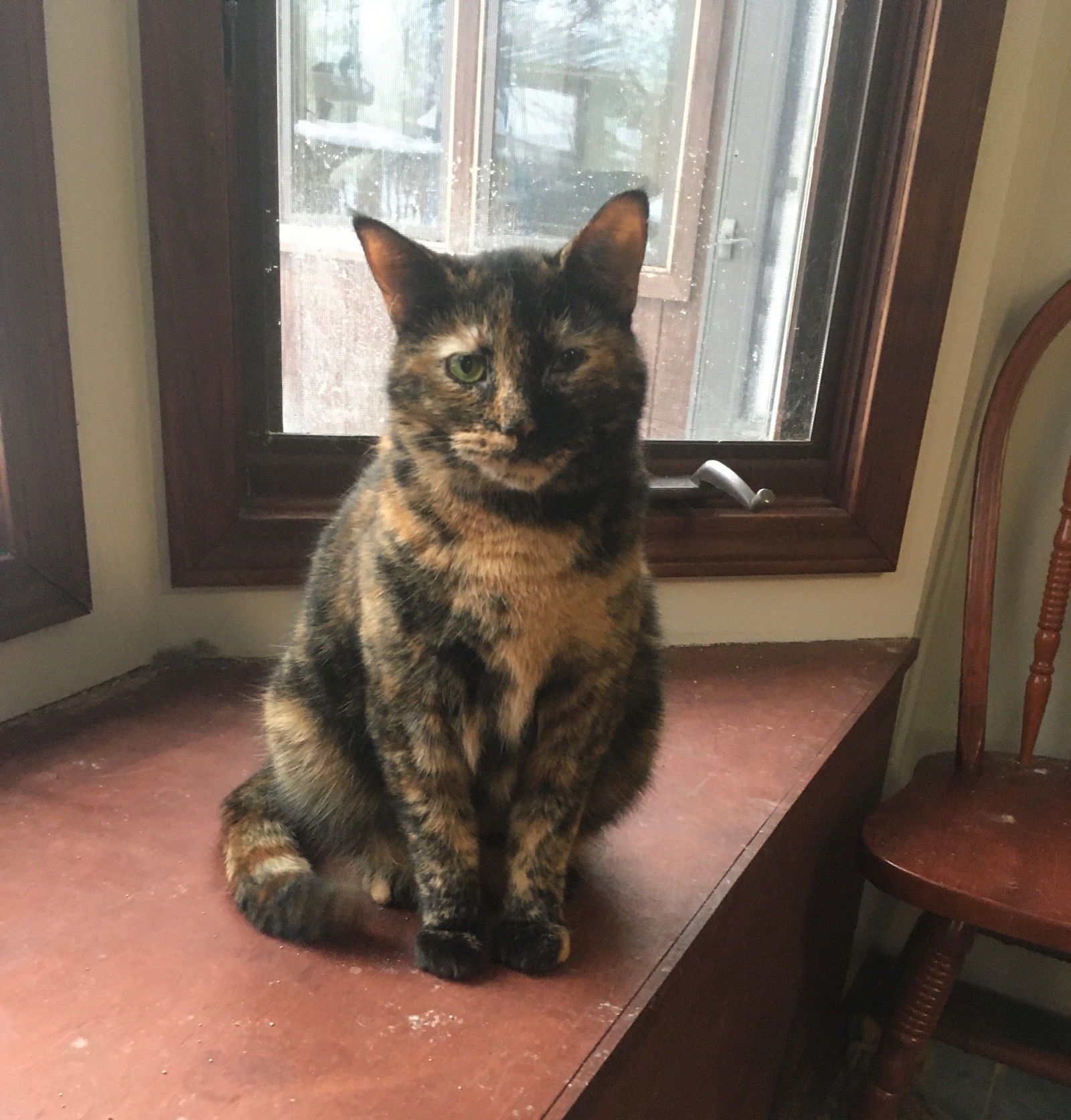 Rhoda