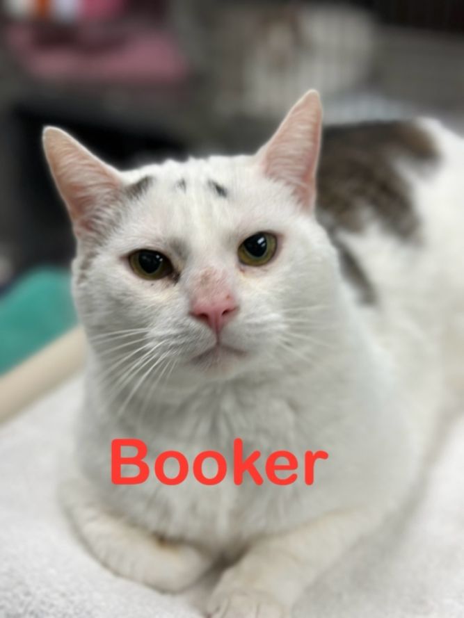 BOOKER