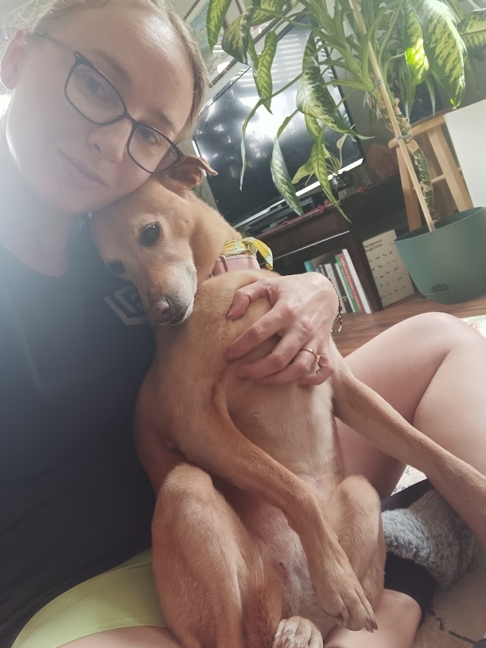 Emma, an adoptable Labrador Retriever, Australian Cattle Dog / Blue Heeler in Littleton, CO, 80126 | Photo Image 6