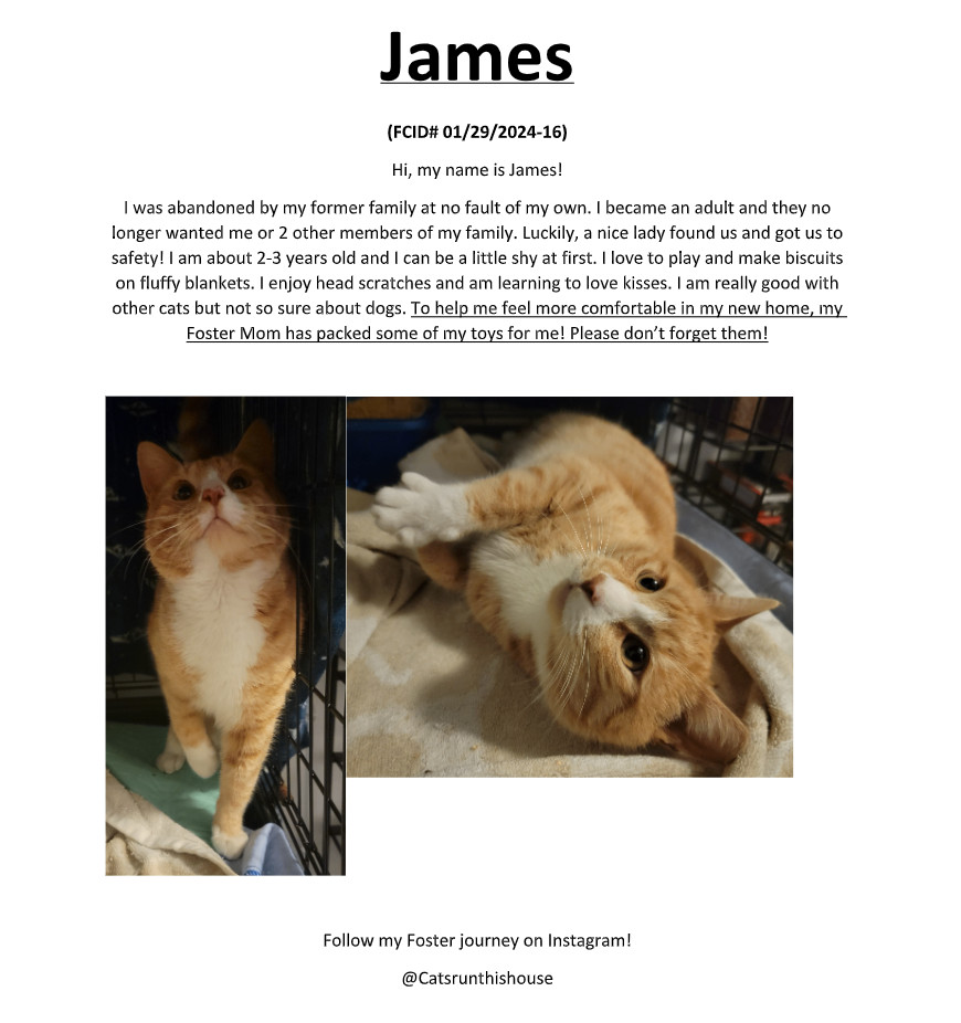James (FCID# 01/29/2024 - 16) C