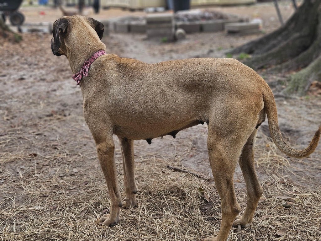 Peeta