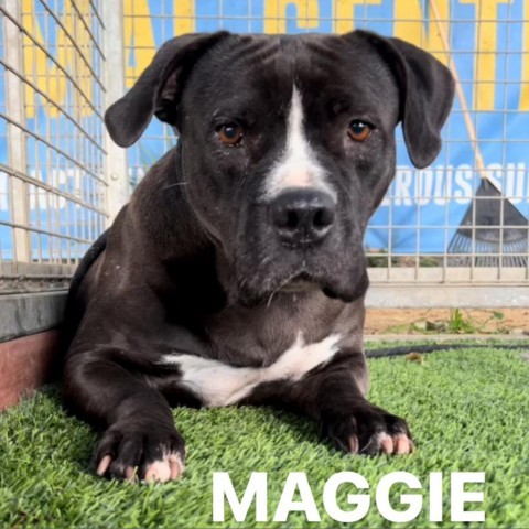 Maggie A2109796