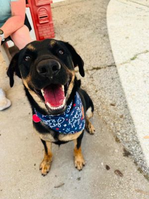 Boudreaux has been through a lot but youd never know it from his constant smile and that precious 