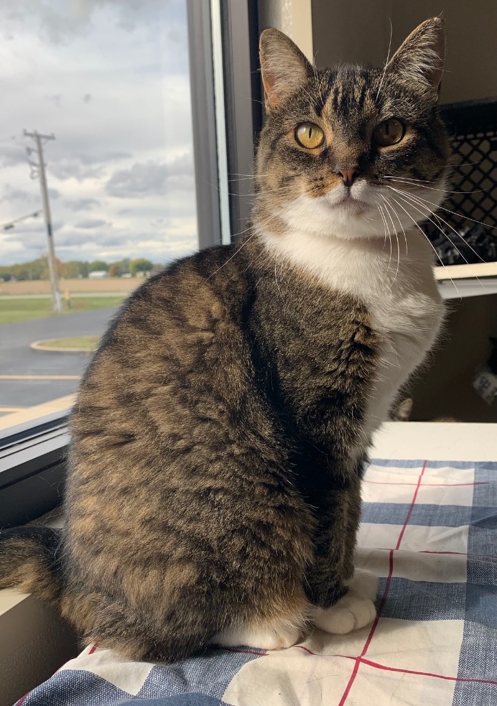 Gertrude