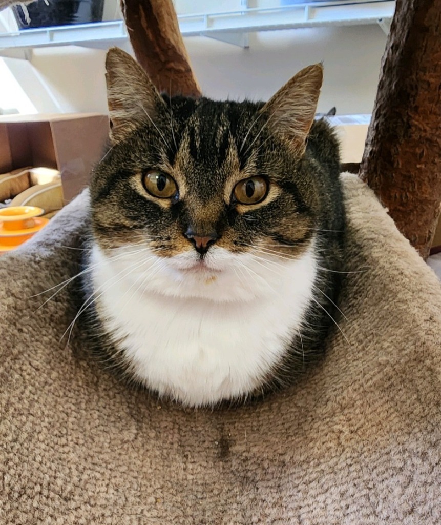 Gertrude