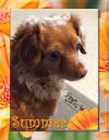 Summer - San Diego