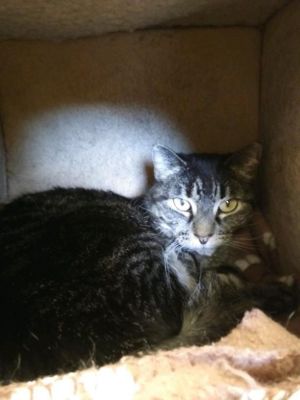 Mary Jane, Senior Female unknown