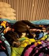 Bagheera photo 6