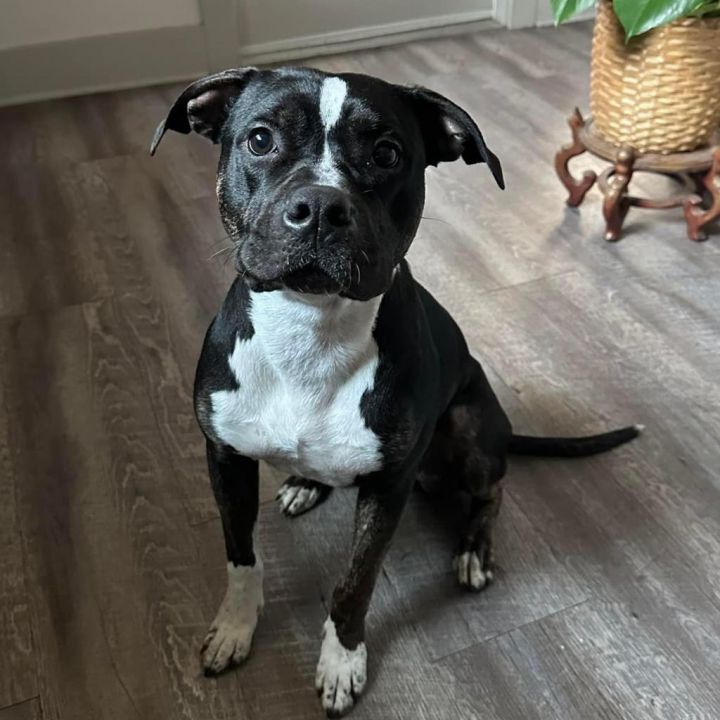 Missy May 1