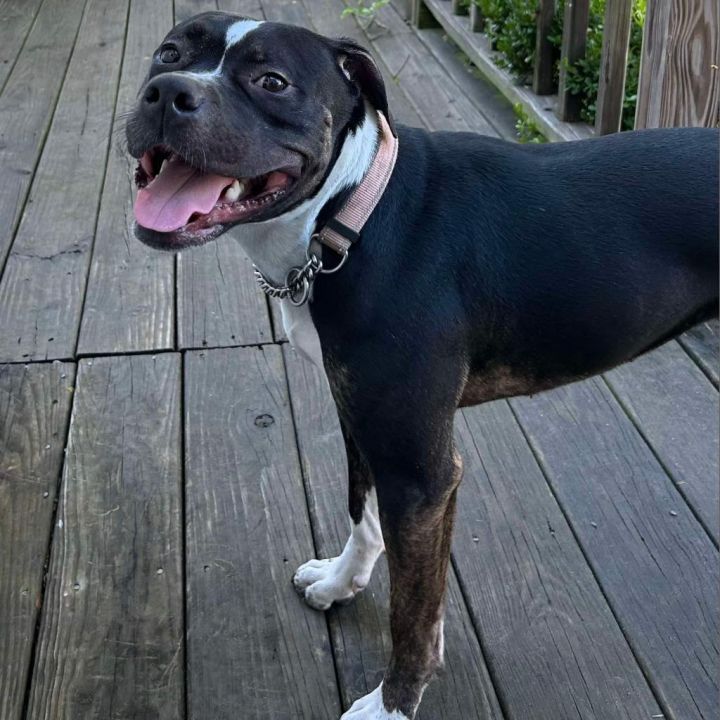 Missy May 2