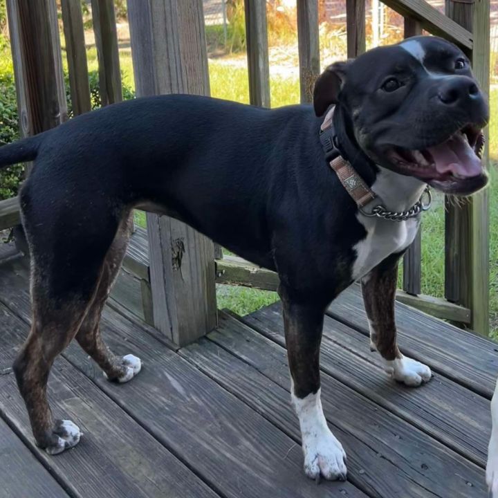 Missy May 3