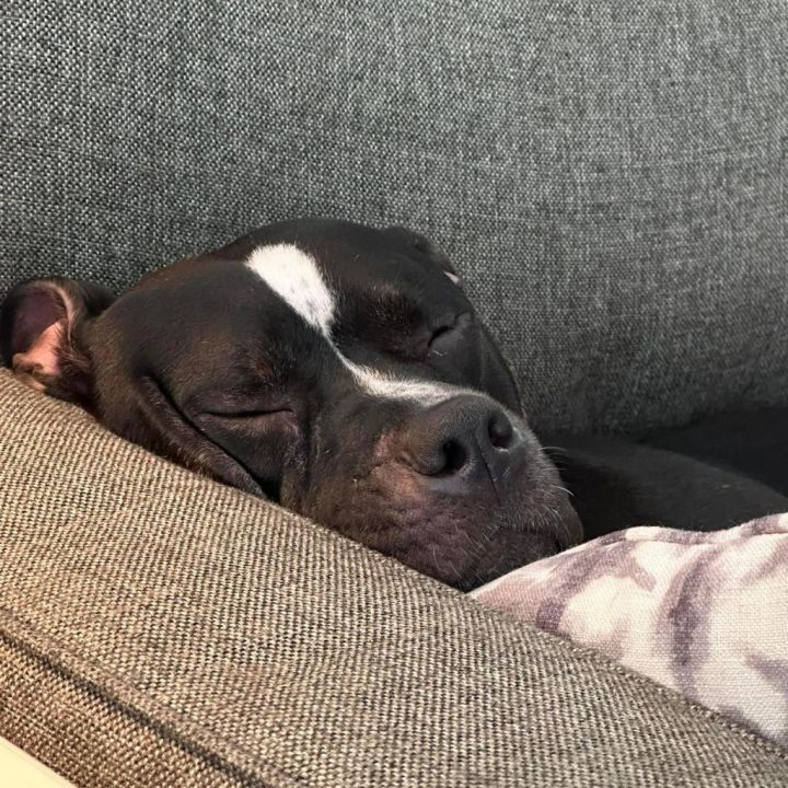 Missy May 6