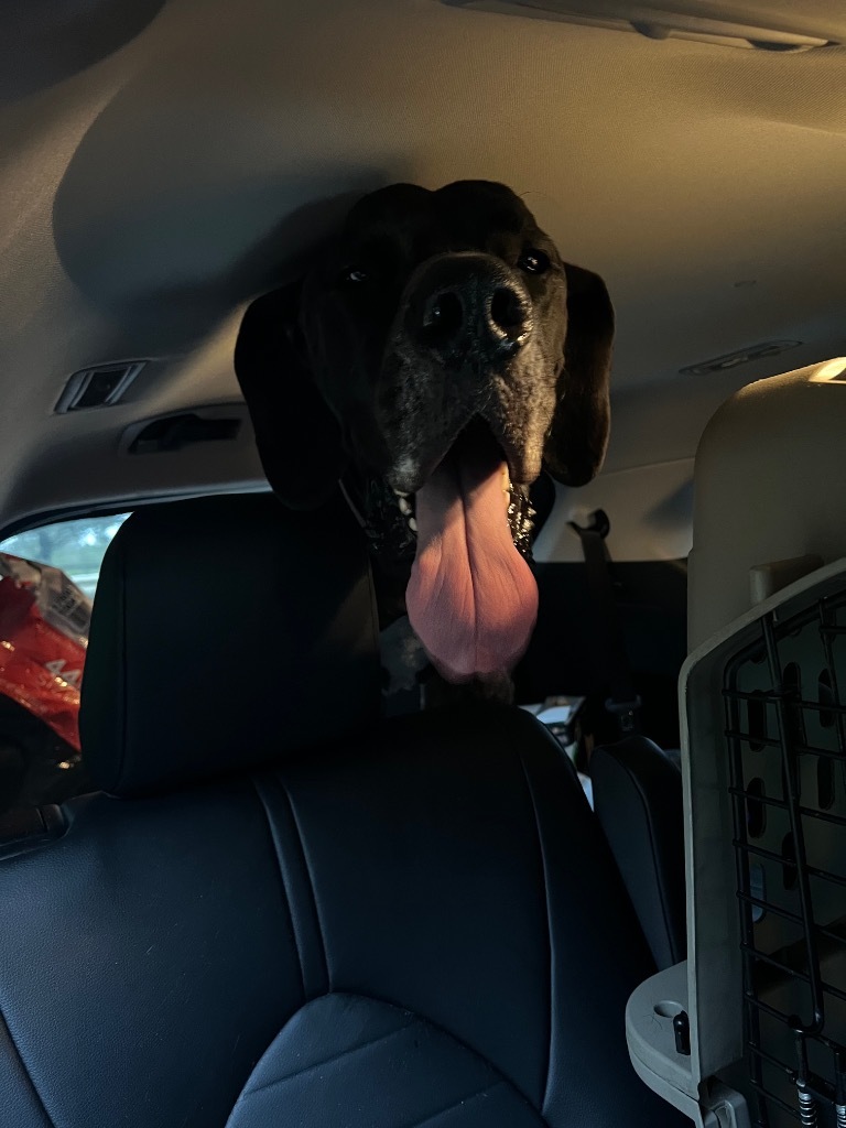 Gus
